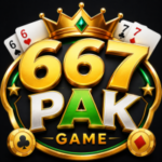 667pak Game